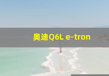 奥迪Q6L e-tron